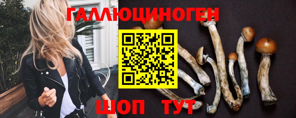Воткинск  Галлюциногенные грибы мухоморы  Вход с VPN 